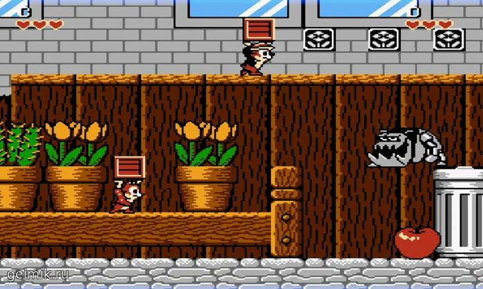 Battletoads & Double Dragon