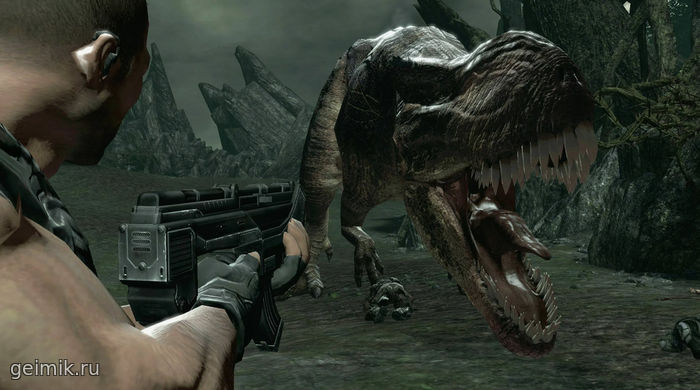 Turok (2008)