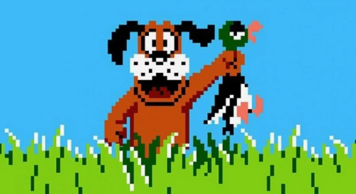 DUCK HUNT