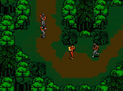 Snake’s Revenge на русском