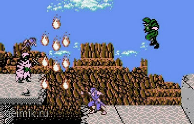 Ninja Gaiden на русском